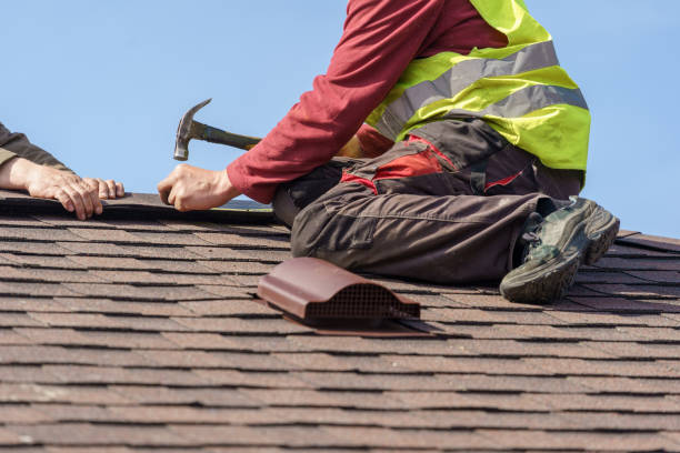 Best Roof Gutter Cleaning  in Pulaski, VA