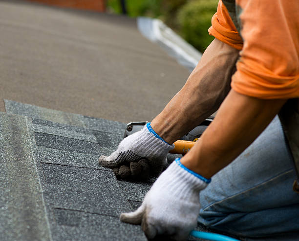 Best Roof Maintenance Services  in Pulaski, VA
